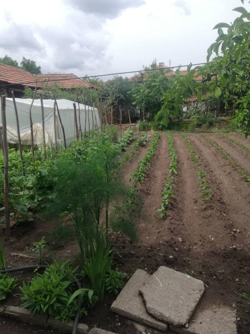 ������� ���� | Imot.bg � ����������� 16