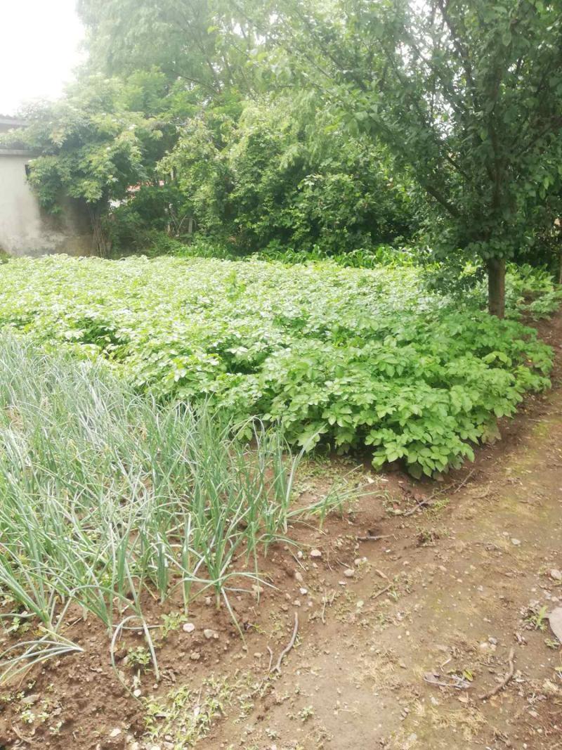 ������� ���� | Imot.bg � ����������� 15