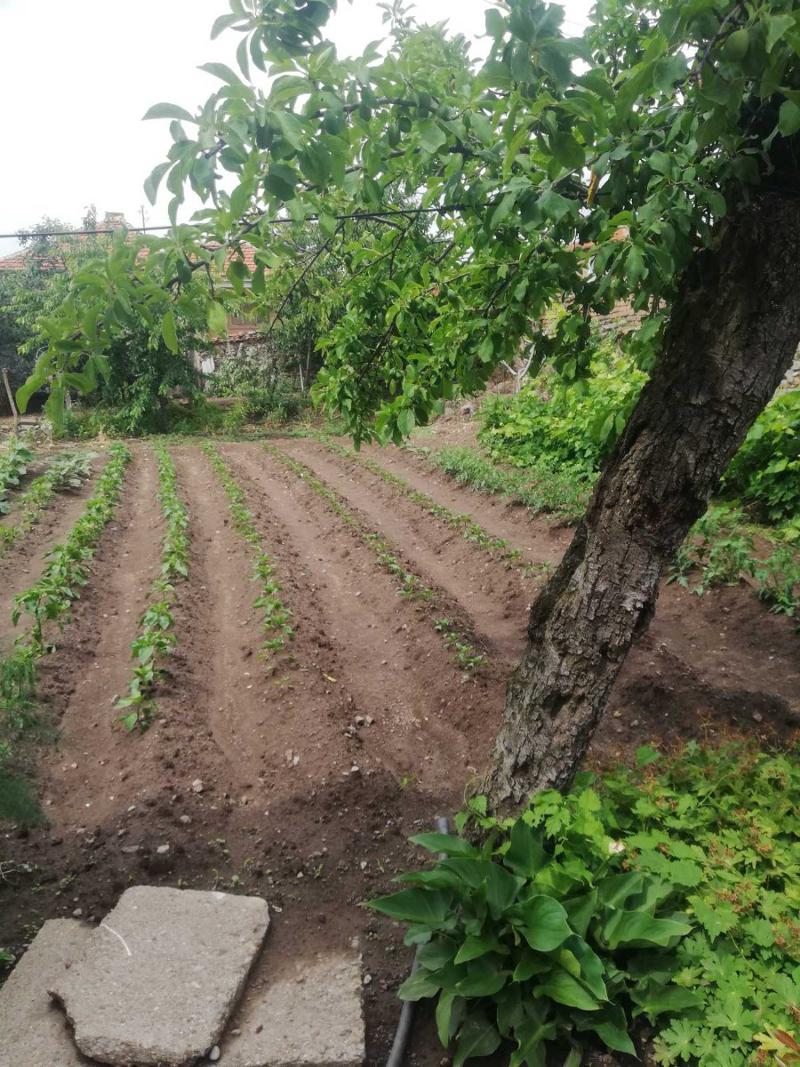 ������� ���� | Imot.bg � ����������� 14