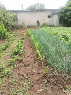 ������� ���� | Imot.bg � ����� ������ 13