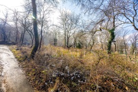 ������� ������ | Imot.bg � ����� ������ 7