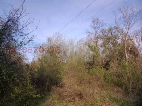 ������� ������ | Imot.bg � ����� ������ 3