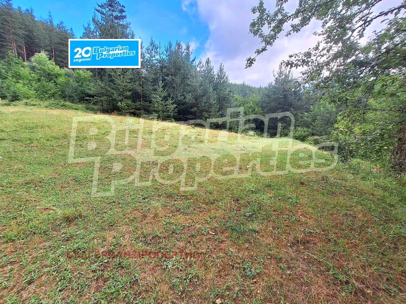 Na prodej  Spiknutí oblast Blagoevgrad , Bačevo , 5733 m2 | 62333174