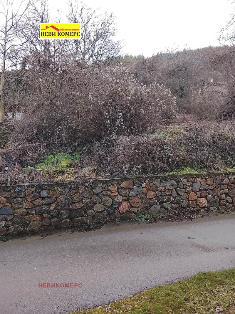 Продава ПАРЦЕЛ, с. Скрино, област Кюстендил, снимка 2 - Парцели - 53242578