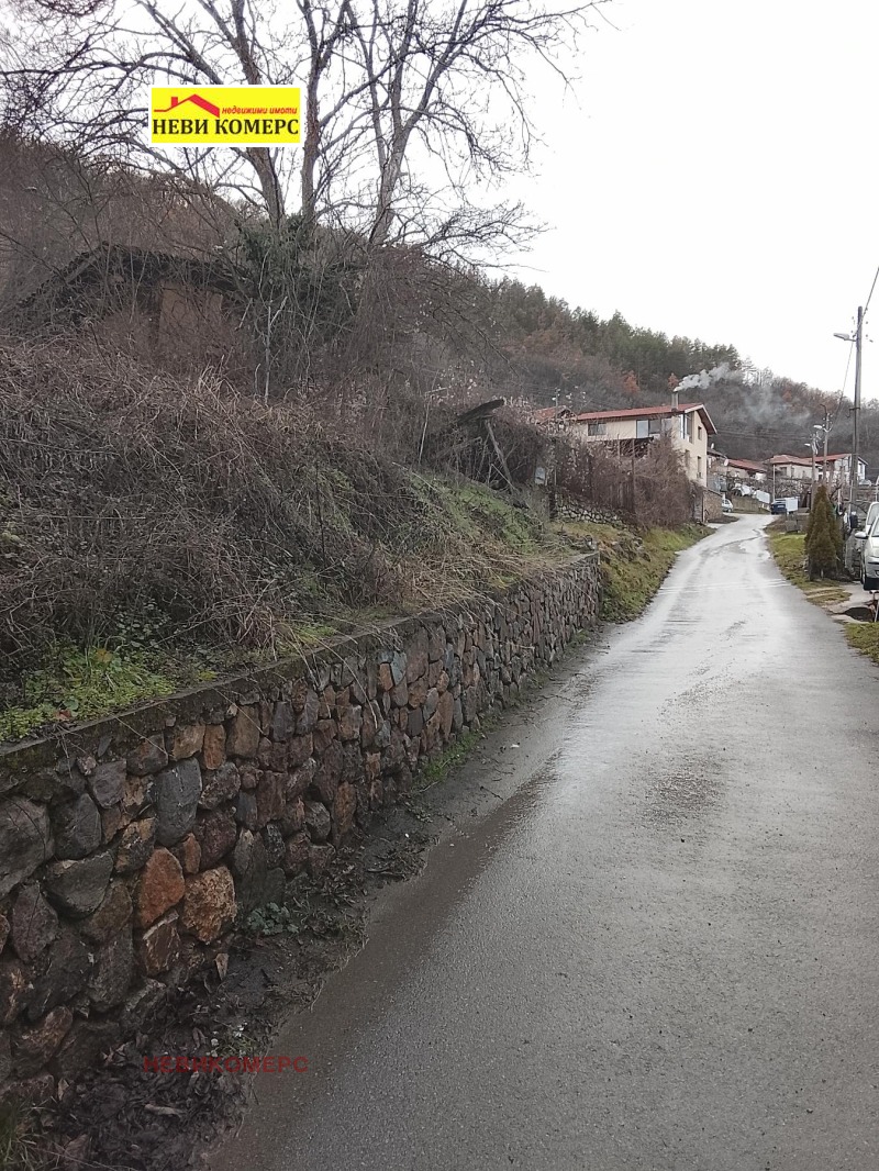 Продава ПАРЦЕЛ, с. Скрино, област Кюстендил, снимка 3 - Парцели - 53242578