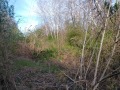 Продава ПАРЦЕЛ, с. Тученица, област Плевен, снимка 5