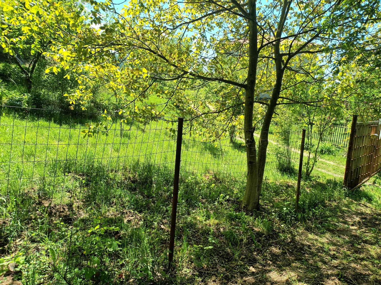 ������� ������ | Imot.bg � ����������� 5