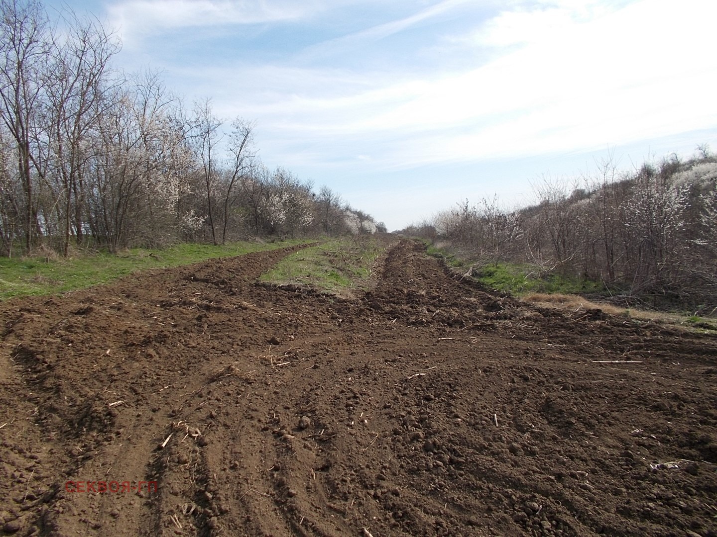 Продава ЗЕМЕДЕЛСКА ЗЕМЯ | Imot.bg — изображение 4