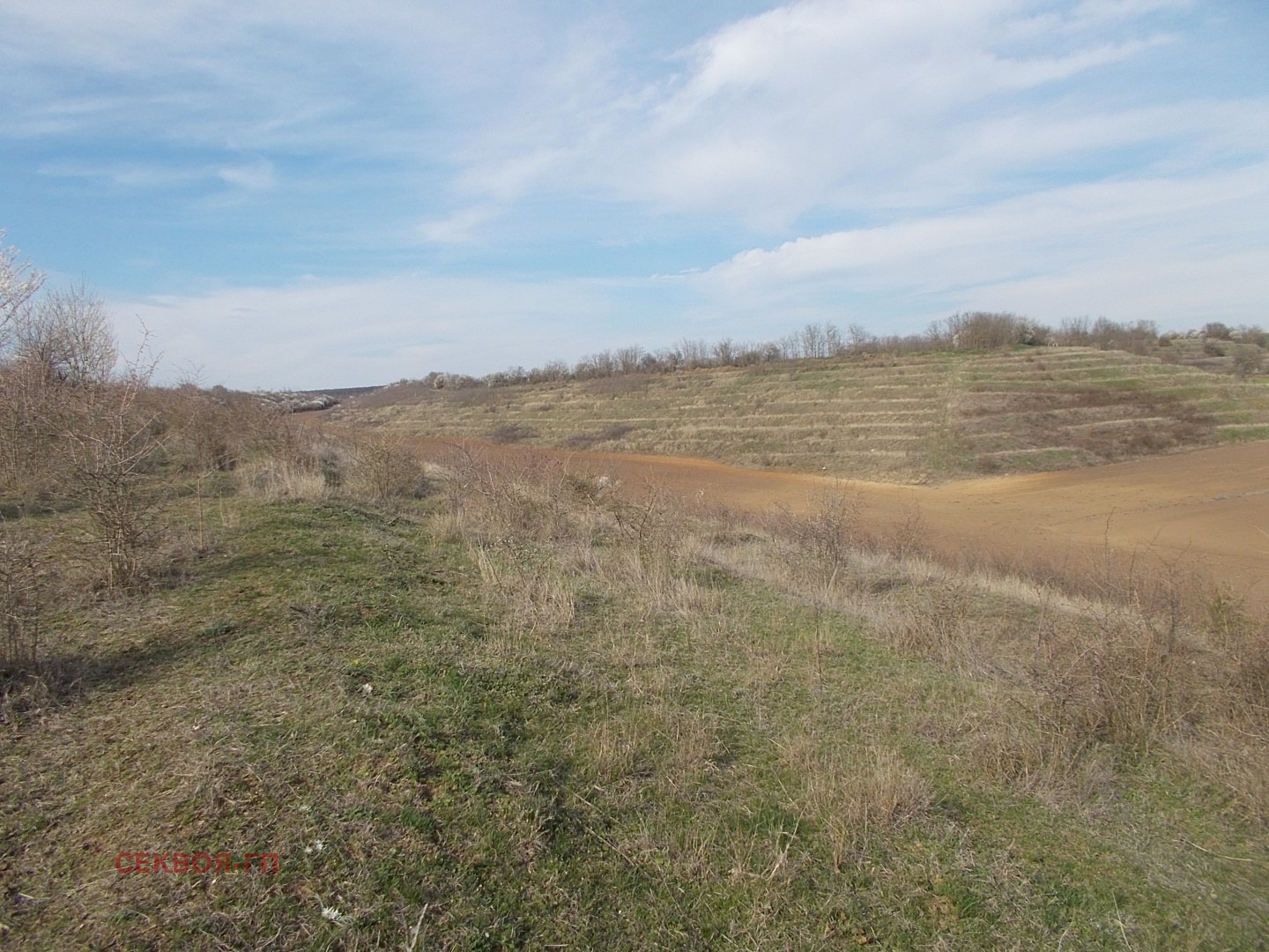 Продава ЗЕМЕДЕЛСКА ЗЕМЯ | Imot.bg — изображение 7