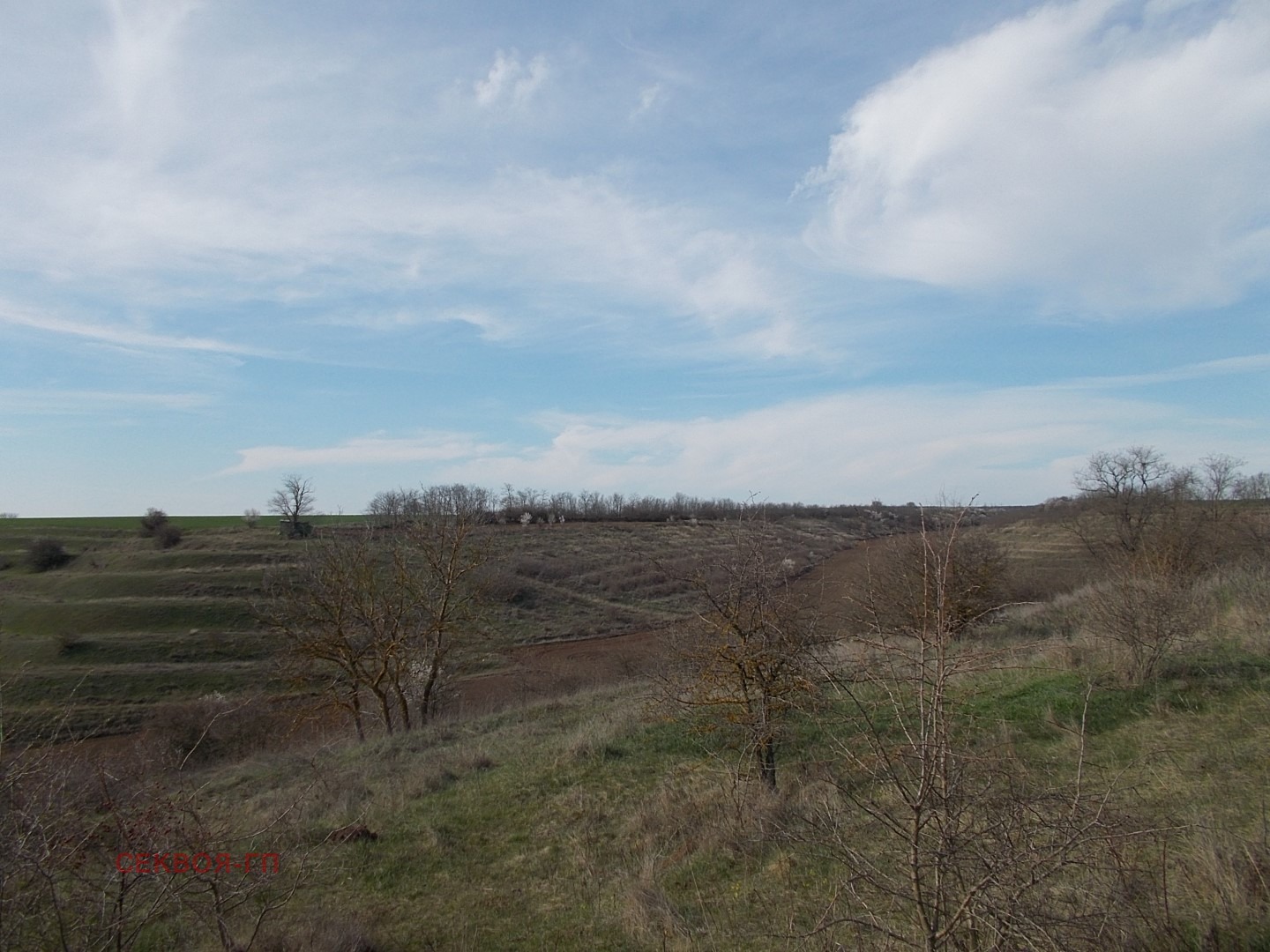 Продава ЗЕМЕДЕЛСКА ЗЕМЯ | Imot.bg — изображение 2