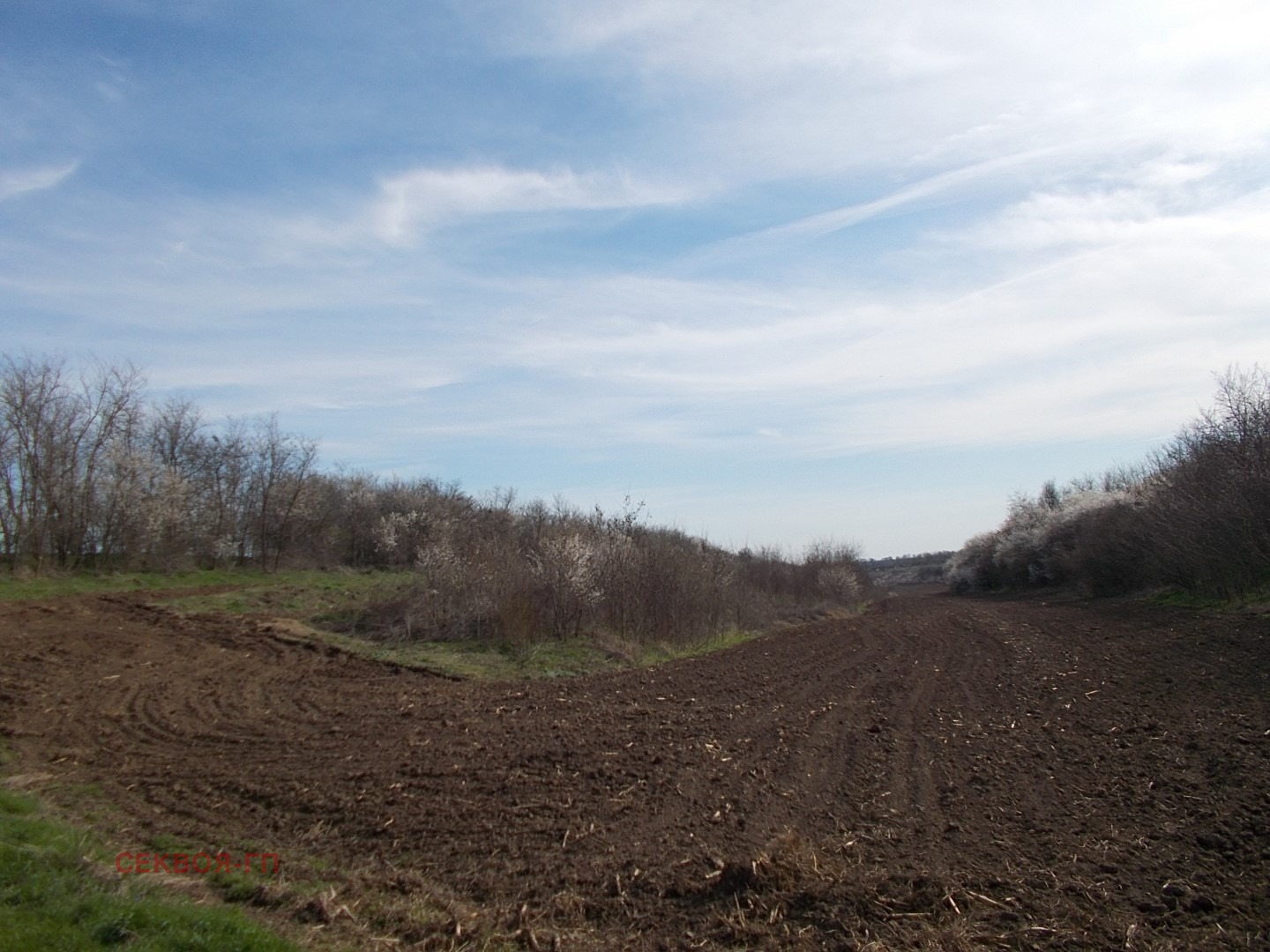 Продава ЗЕМЕДЕЛСКА ЗЕМЯ | Imot.bg — изображение 3