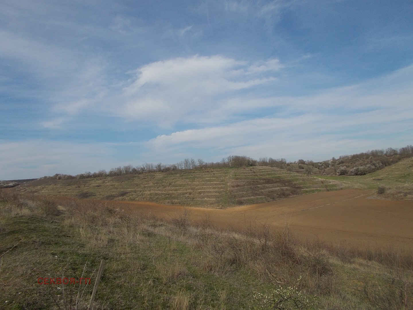 Продава ЗЕМЕДЕЛСКА ЗЕМЯ | Imot.bg — изображение 5