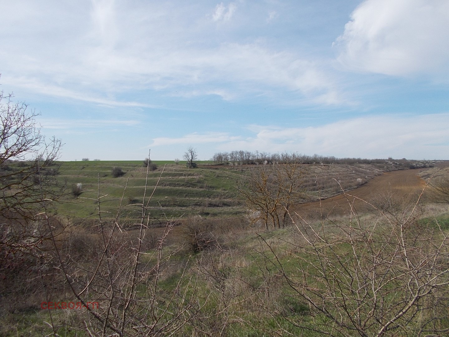 Продава ЗЕМЕДЕЛСКА ЗЕМЯ | Imot.bg — изображение 1