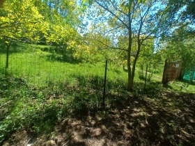 ����� ������� ������,���� �����, �. ��������