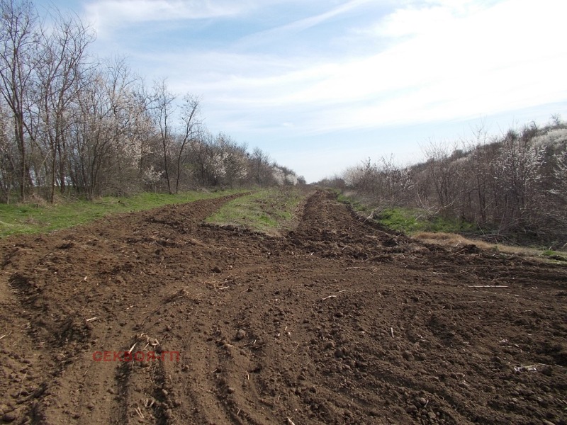 For Sale  Land region Dobrich , Telerig , 99 dka | 64001333 - image [4]