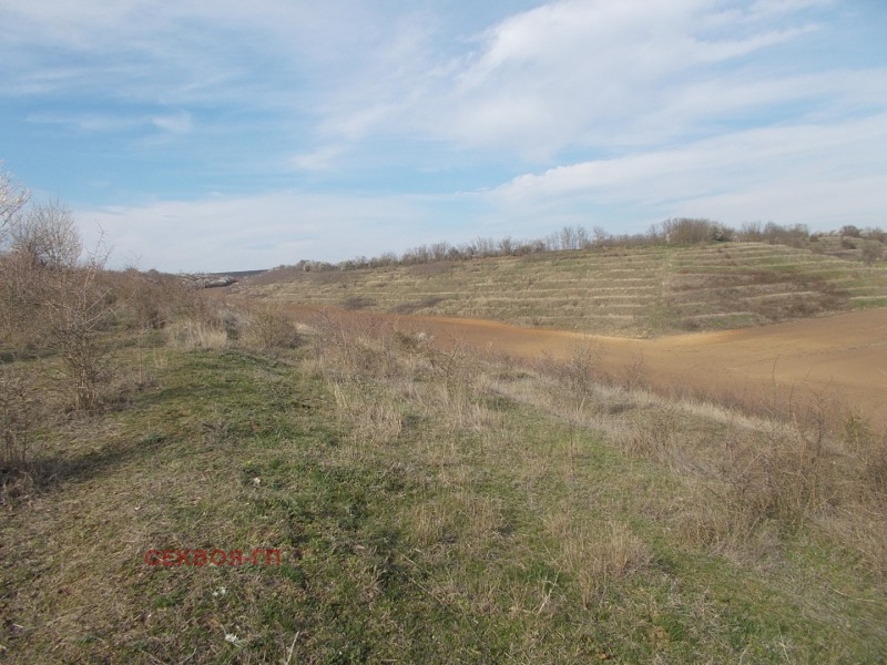 For Sale  Land region Dobrich , Telerig , 99 dka | 64001333 - image [7]