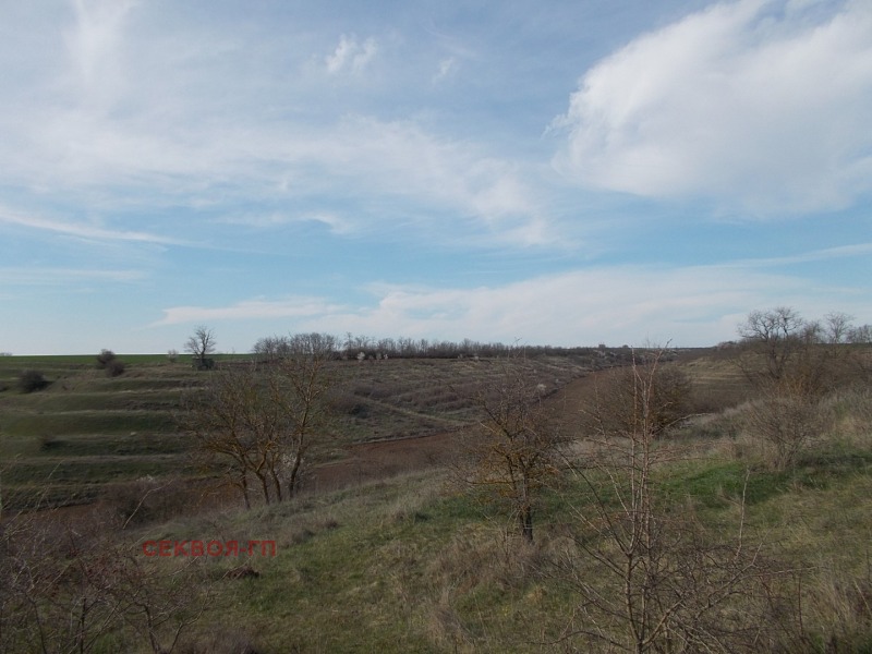 For Sale  Land region Dobrich , Telerig , 99 dka | 64001333 - image [2]