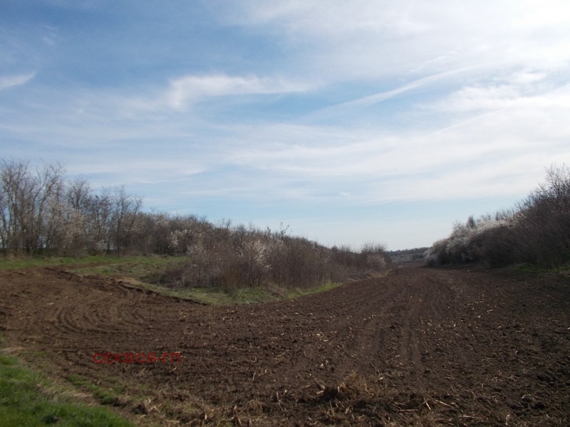 For Sale  Land region Dobrich , Telerig , 99 dka | 64001333 - image [3]