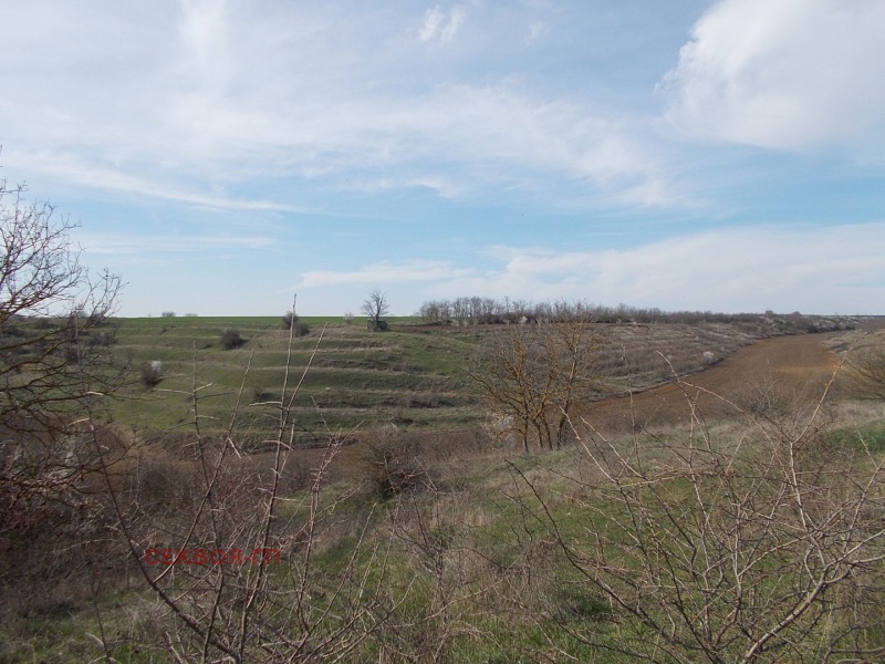 For Sale  Land region Dobrich , Telerig , 99 dka | 64001333