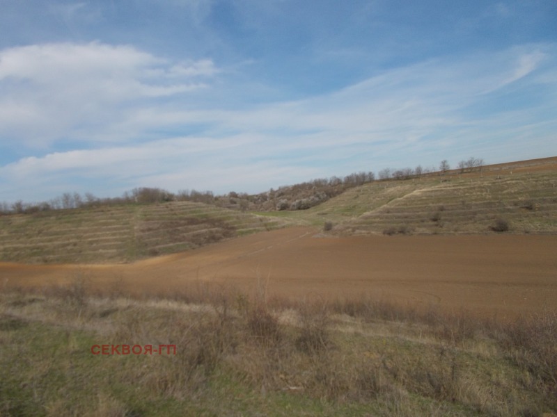 For Sale  Land region Dobrich , Telerig , 99 dka | 64001333 - image [6]