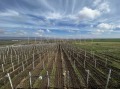 Продава  Къща област Бургас , к.к. Слънчев бряг , 165 кв.м | 76016885 - изображение [5]