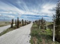 Продава  Къща област Бургас , к.к. Слънчев бряг , 165 кв.м | 76016885 - изображение [6]