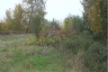 Продава ПАРЦЕЛ, област Варна, с. Старо Оряхово • 53700 € • 86848242 — Holmes.bg