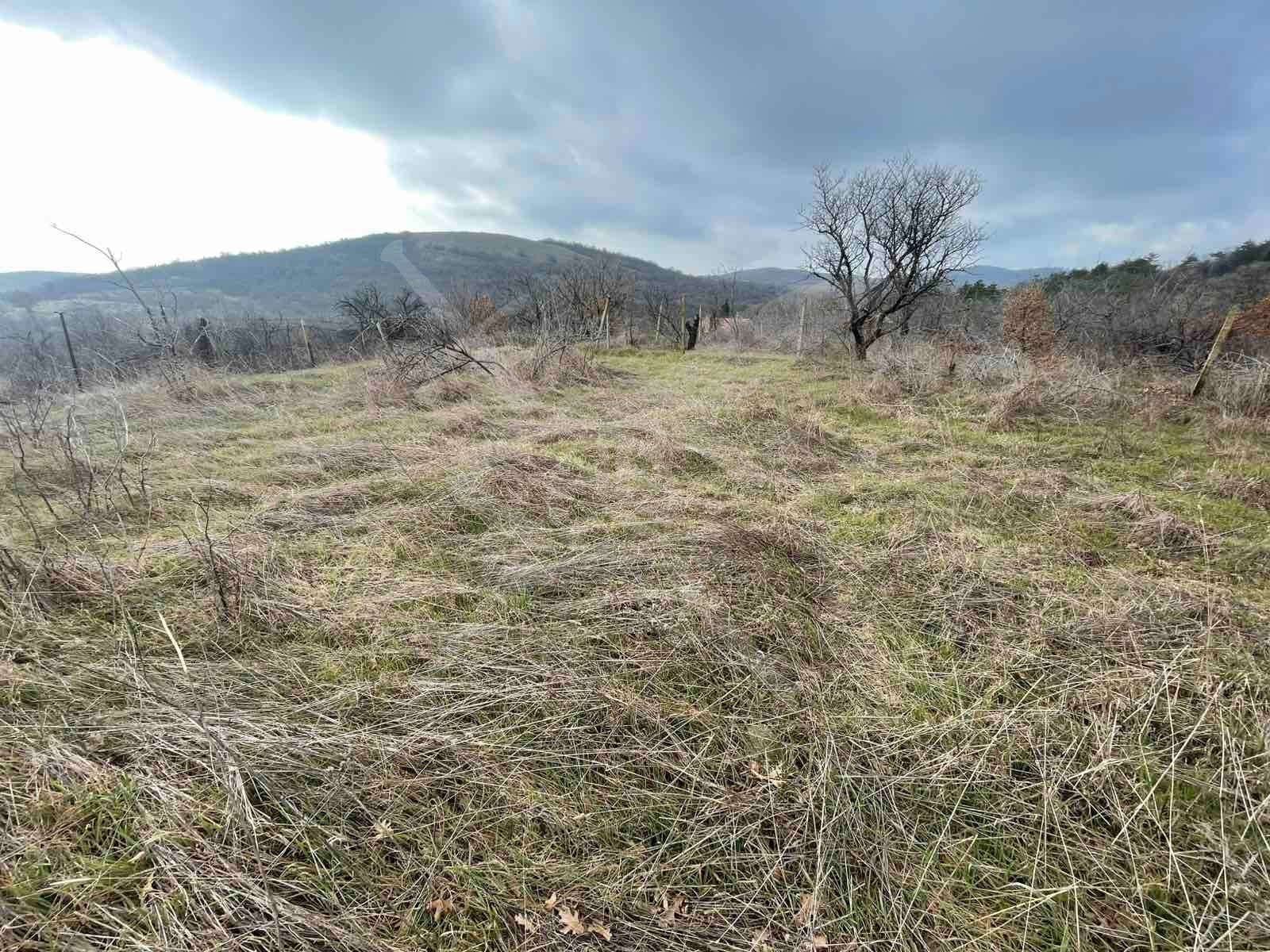 ������� ������ | Imot.bg � ����������� 2