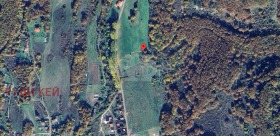 ����� ������� ������,�. ������, ������ �����