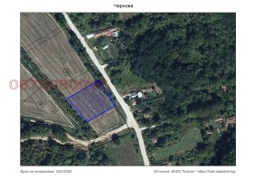 ����� ������� ���������� ����,�. ����� ���������, ������ ��������