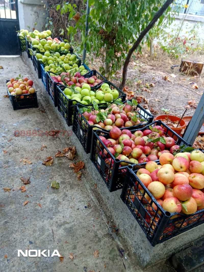 Продава КЪЩА, с. Бенковски, област Варна, снимка 15 - Къщи - 52780201