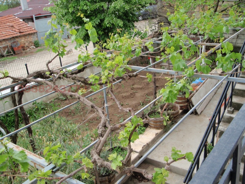 Продава КЪЩА, с. Бенковски, област Варна, снимка 10 - Къщи - 52780201