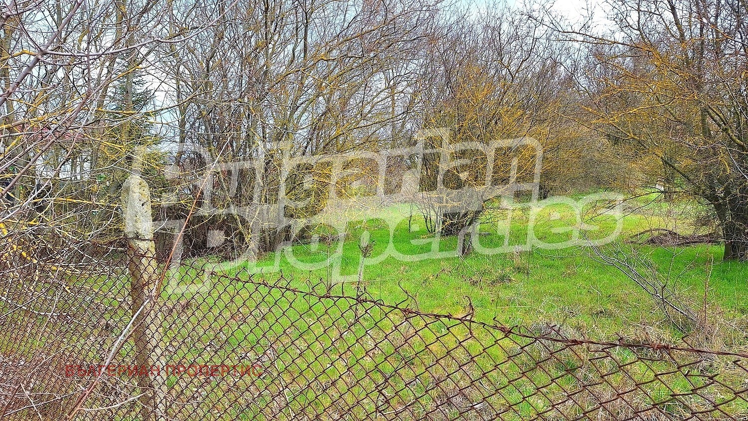 Продава ПАРЦЕЛ, с. Царичино, област Добрич, снимка 9 - Парцели - 53911682