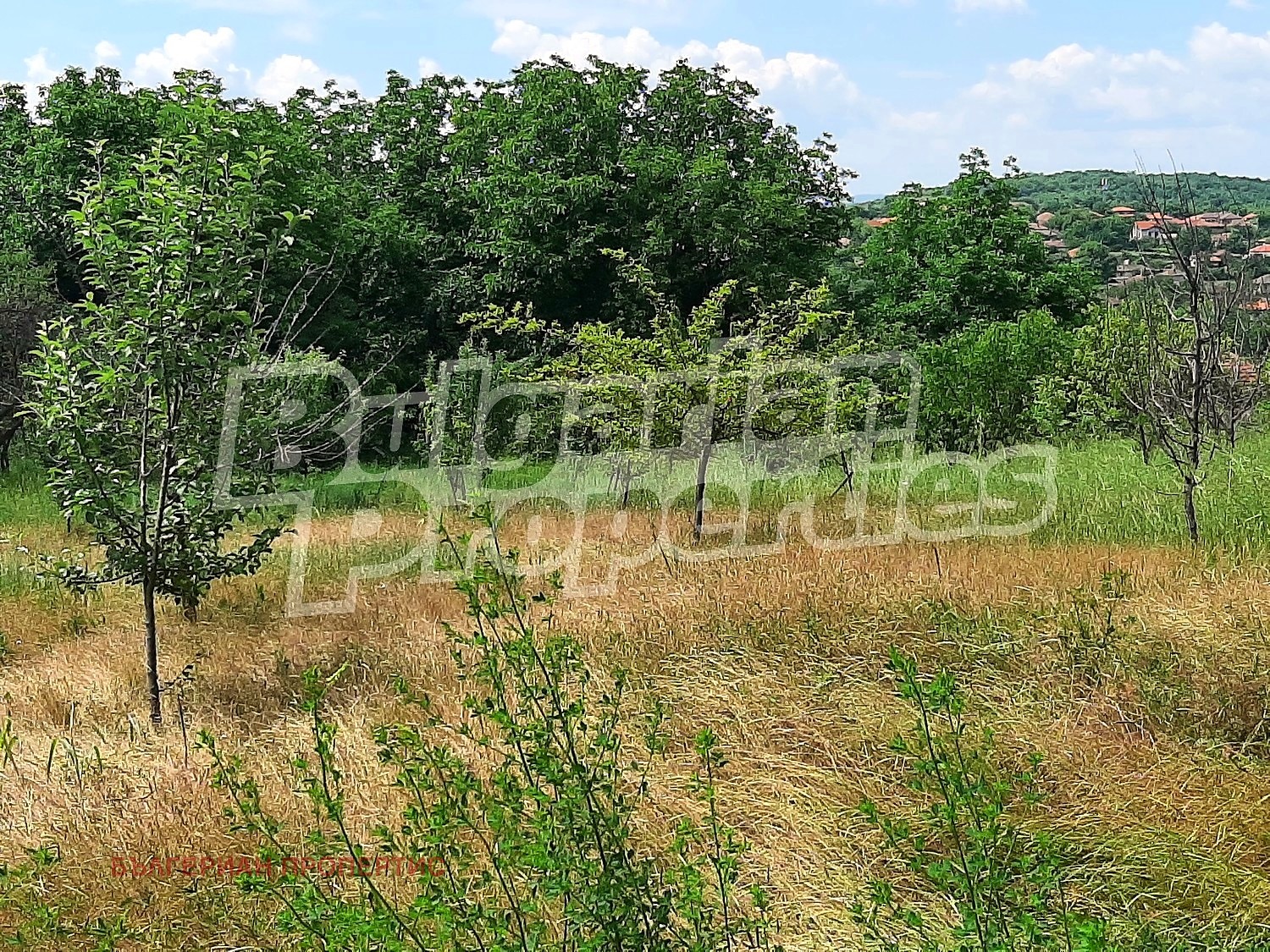 Продава ПАРЦЕЛ, с. Добри дял, област Велико Търново, снимка 4 - Парцели - 54749060