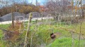 Продава ПАРЦЕЛ, с. Царичино, област Добрич, снимка 10
