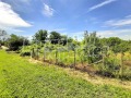Продава ПАРЦЕЛ, с. Добри дял, област Велико Търново, снимка 8