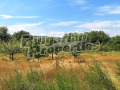 Продава ПАРЦЕЛ, с. Добри дял, област Велико Търново, снимка 1