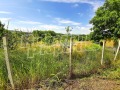 Продава ПАРЦЕЛ, с. Добри дял, област Велико Търново, снимка 7