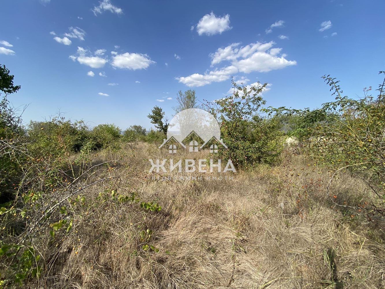 ������� ������ | Imot.bg � ����������� 6