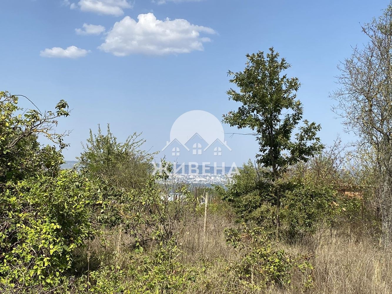 ������� ������ | Imot.bg � ����������� 3