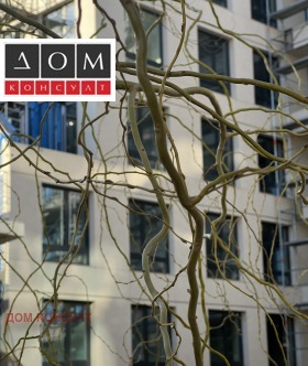 ����� ������� 3-�����,���� �����, �������� ����