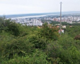 ����� ������� ������,���� �����, �-� �������