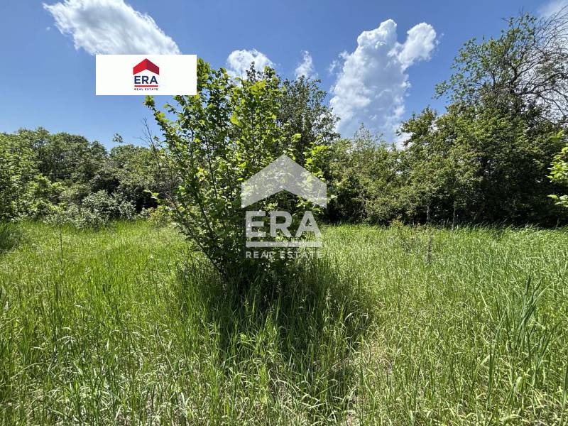 For Sale  Plot region Varna , Krivini , 967 sq.m | 18712929 - image [7]