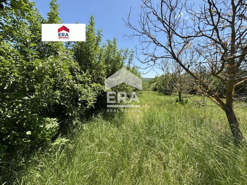 For Sale  Plot region Varna , Krivini , 967 sq.m | 18712929 - image [4]