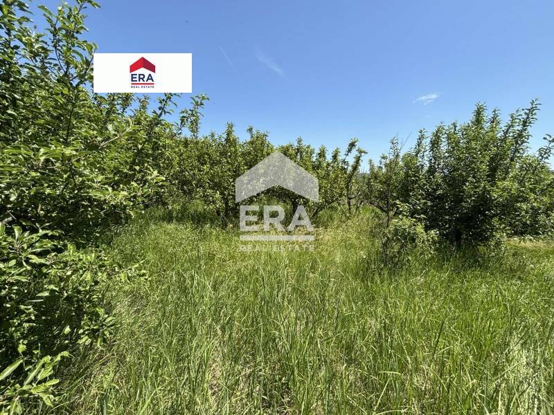 For Sale  Plot region Varna , Krivini , 967 sq.m | 18712929 - image [6]