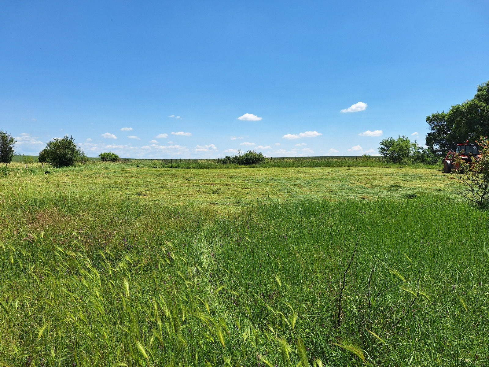 Продава ПАРЦЕЛ, гр. Болярово, област Ямбол, снимка 2 - Парцели - 53968746