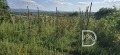 Продава ПАРЦЕЛ, гр. Велики Преслав, област Шумен, снимка 5