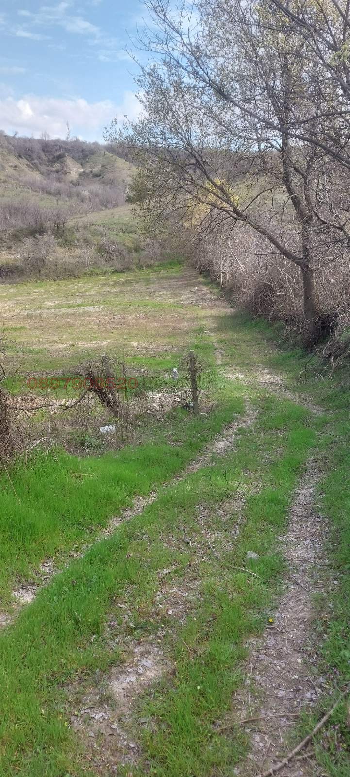 ������� ������ | Imot.bg � ����������� 5