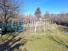 ����� ������� ������,���� ������ �������, ���� �