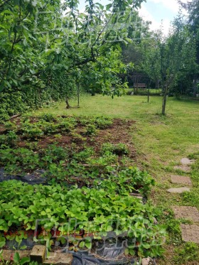 ������� ������ | Imot.bg � ����� ������ 11